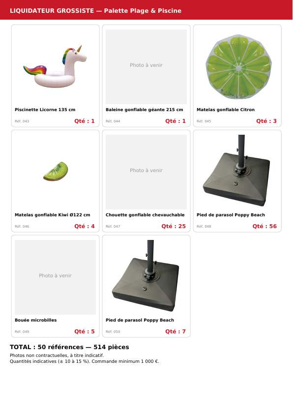 Palette #3 plage et accesoires 510 pièces livraison incluse